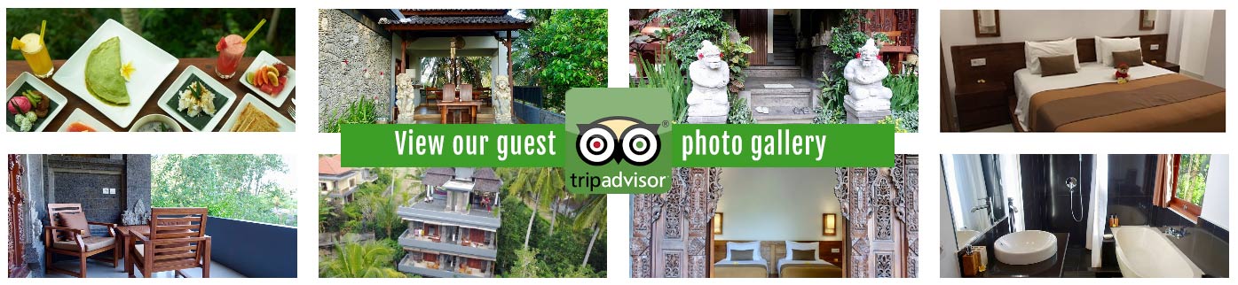 Eden House Ubud Ginyar Bali Trip Advisor Photo Gallery